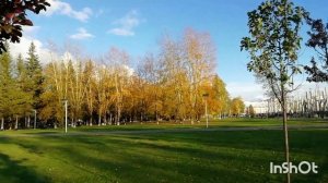 Что за дымка вдали золотая