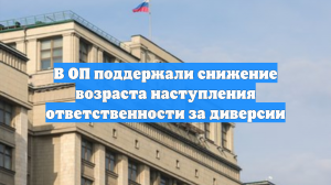В ОП поддержали снижение возраста наступления ответственности за диверсии