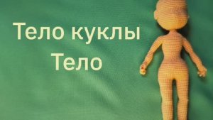 Тело куколки. Тело.