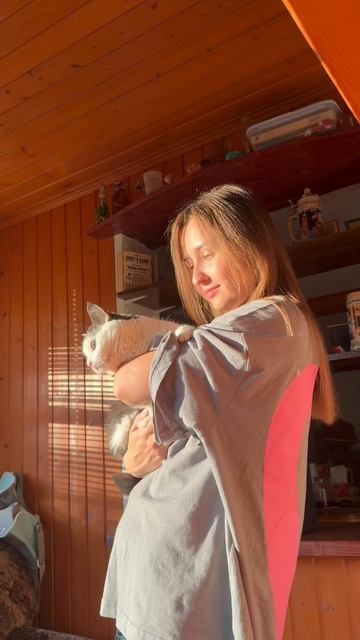 В лучах солнца смотреть онлайн