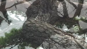 ДВГМЗ. Кекуры бакланьи. Фредерик Шопен