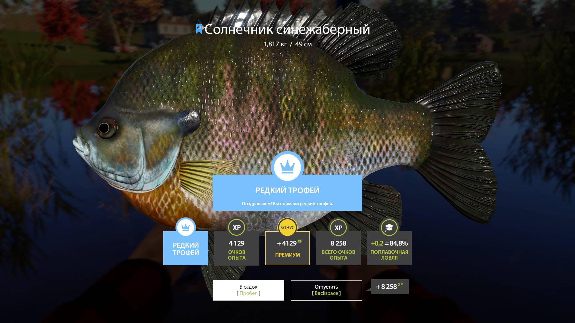 ТРОФЕИ СОЛНЕЧНИК СИНЕЖАБЕРНЫЙ!!!ОЗЕРО ЛОСИНОЕ - РУССКАЯ РЫБАЛКА 4