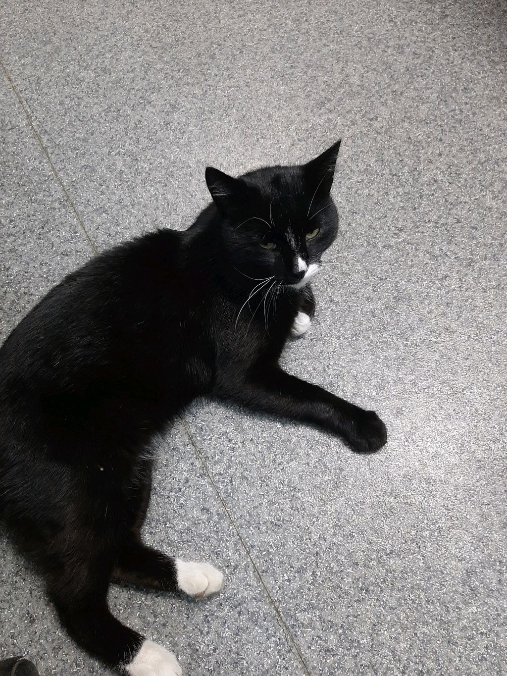 о себе^^ смотреть онлайн