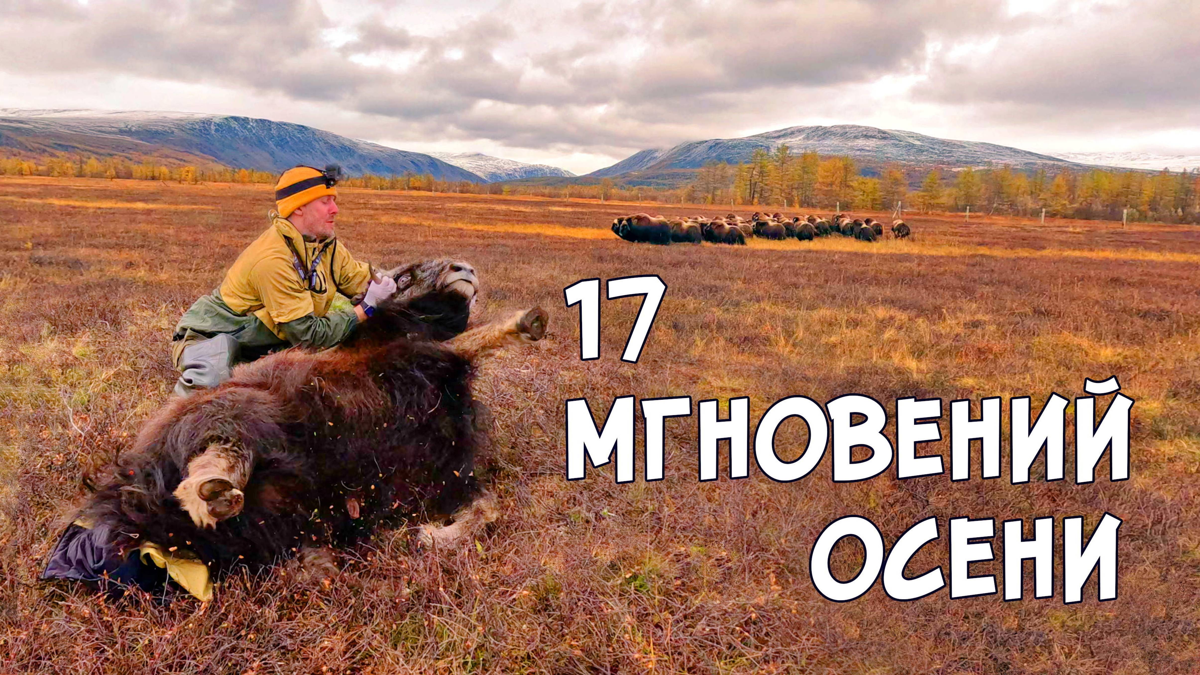 17 мгновений осени