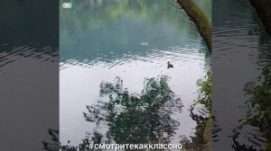 Голубое озеро в Кабардино-Балкарской Республике.mp4