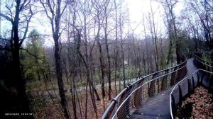 Воздушная  экологическая тропа на ВДНХ осенью