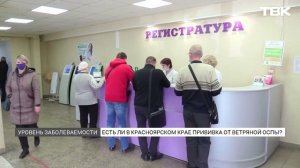 Всплеск заболеваемости ветрянкой фиксируют в России: какая ситуация в Красноярске?