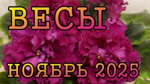 ВЕСЫ таро прогноз на НОЯБРЬ 2025 года.