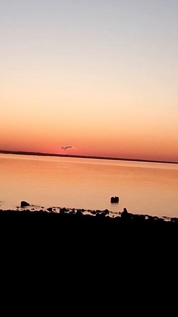 Интересный закат на Финском заливе смотреть онлайн