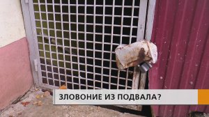 Постоянная сырость в квартирах — настоящее испытание для жильцов