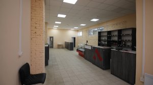 Алканика