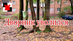 Новости Калининграда: дворник уволился, начальника арестовали, "Пятерочки" утомляют
