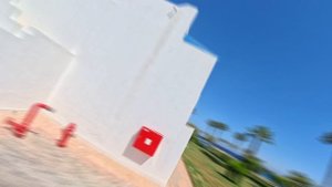 ТАЙМЛАПС Renaissance