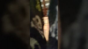 как проходит мой вечер