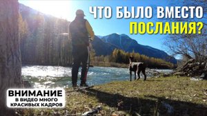 Несбывшаяся находка: почему послание так и осталось тайной? Долина Чулышман и Долина Укока!
