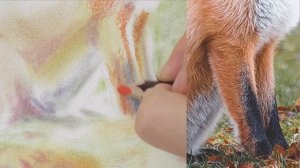 Лиса курс лето август ч 3