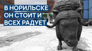 В НОРИЛЬСКЕ немного снега ❄️ОН СТОИТ И ВСЕХ РАДУЕТ 🐗 Перемены в городе к лучшему или нет ⁉️