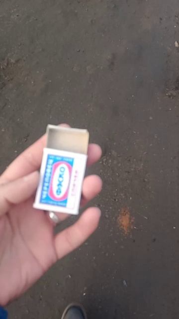 А вы ловили холяву коробкой? смотреть онлайн