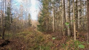 Попытка №2 и № 3.