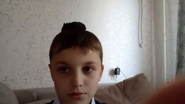 где хомяк?