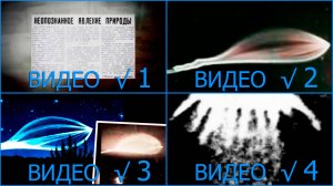 Сборник фильмов о "Петрозаводском феномене"