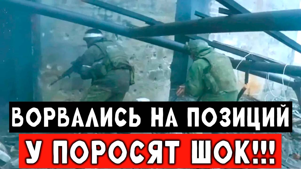 Наши мужики пополнили списки двухсотых наёмных Укросвиней, быстры накат на позиций смотреть онлайн