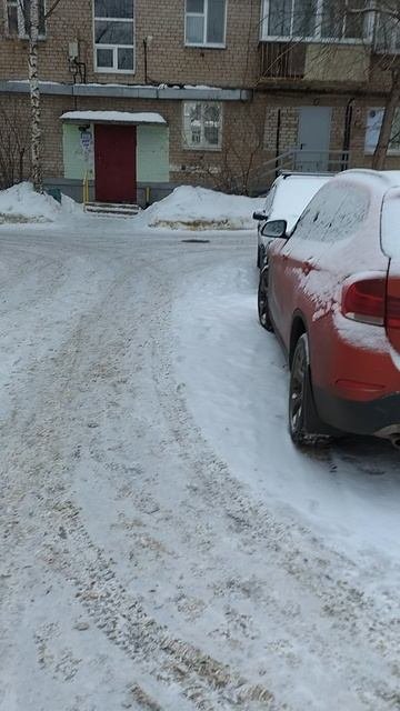 №111. Двор Сибирская 73. 15 февраля 2025 г., 9:22:05. VID_20250215_092100734