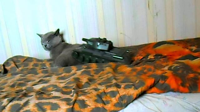 беда пришла откуда не ждал