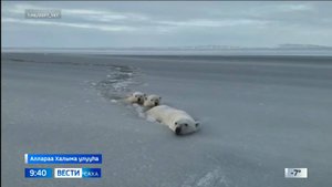 09:30 ВЕСТИ САХА 21/10/25 НА ЯКУТСКОМ ЯЗЫКЕ