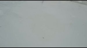 1000184819.mp4