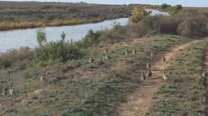 Одна голова хорошо, а 28 – еще лучше!