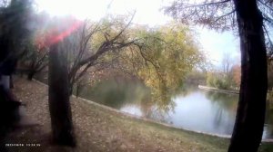Осень у Оленьих прудов в Сокольниках и немного прошлого