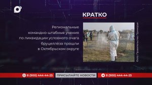 Кратко / 21.10.25