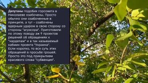Николаев 21 октября 2025 года (новости)