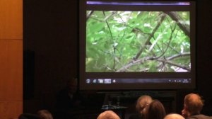 Презентация книги «Жужжание жука»