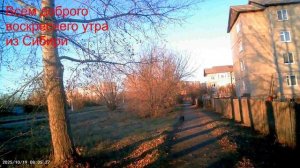 19.10.08.03.Сибирское утро и прогулка питомца.БАДЯ МЕУ Е ПЭДУРАР.