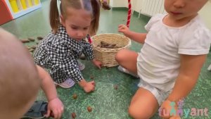 Развитие крупной моторики у самых маленьких (шишки, желуди) Funny Ant Malahovka