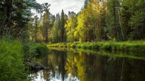В чем запрет на создание отношений, через фигуры папы и отчима.
