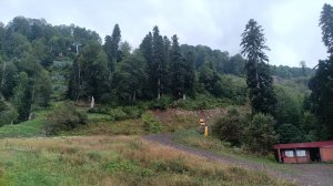 Горная карусель, Поляна  +960 - Реликтовый лес +1460