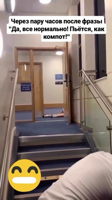 #животные #собаки #кошки #котята #природа #смешные ролики #приколы#music #subscribe #юмор #смех