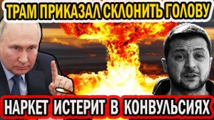Трамп поставил точку; нюх-нюха ждёт ужасный конец