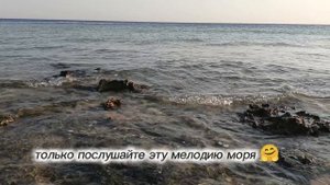 🌊 Мое путешествие. Шарм эль Шейх