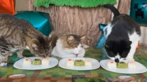 ЧЕЛЛЕНДЖ ГОТОВИМ ЕДУ ИЗ МАЙНКРАФТА С ДЕКУСТАТОРАМИ КОТАМИ И КРОЛЕЙ БАФФИ!