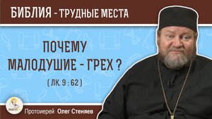 Почему малодушие - грех (Лк. 9:62) ? Протоиерей Олег Стеняев