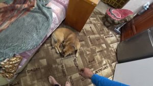 Чё купить поесть после тяжёлой работы