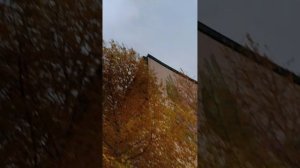 дорога домой