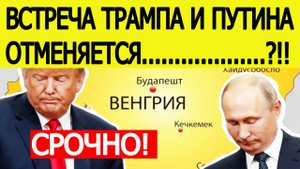 Встреча Путина и Трампа в Будапеште отменяется? Внезапные новости пришли из США