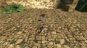 Облик Рыцаря королевы – Маркиза (ближний бой)