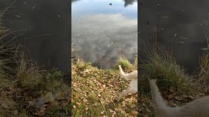 19 октября 2025