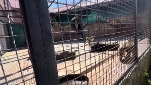 Влад вернулся с отдыха и побежал проведывать всех детей, он сильно удивился поведению Лиды!